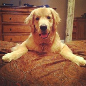 Meet your Posher, Tim